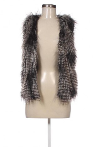 Damenweste H&M Divided, Größe XS, Farbe Mehrfarbig, Preis € 9,99
