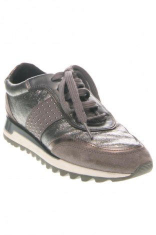 Damenschuhe Geox, Größe 36, Farbe Mehrfarbig, Preis € 22,99