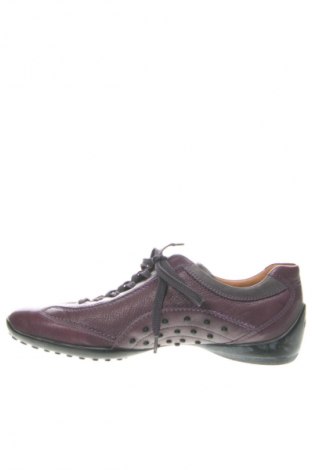 Damenschuhe Tod's, Größe 38, Farbe Lila, Preis € 55,99