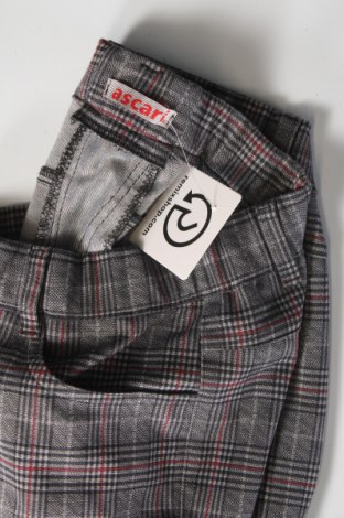 Damskie spodnie Ascari Jeans, Rozmiar M, Kolor Kolorowy, Cena 67,99 zł