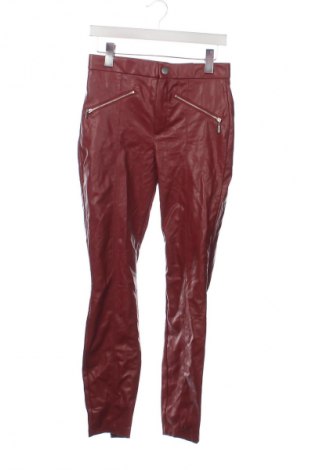 Damenhose Zara, Größe M, Farbe Rot, Preis 42,99 €