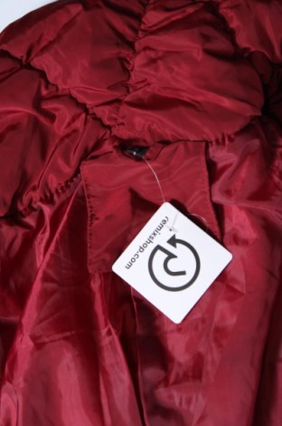 Damenjacke, Größe XL, Farbe Rot, Preis € 19,99