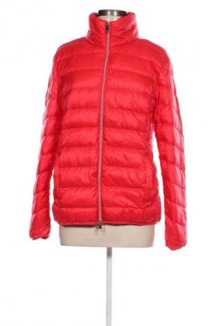 Damenjacke Adagio, Größe L, Farbe Rot, Preis € 33,99