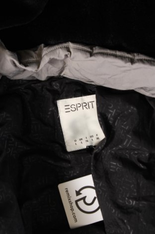 Damenjacke Esprit, Größe L, Farbe Grau, Preis € 61,99