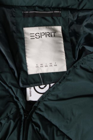 Γυναικείο μπουφάν Esprit, Μέγεθος XXL, Χρώμα Πράσινο, Τιμή 24,99 €