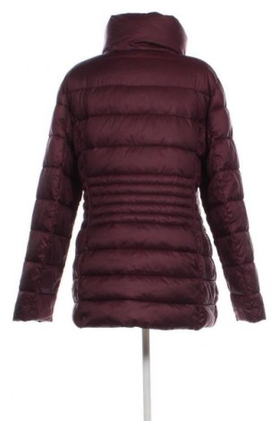 Damenjacke Gerry Weber, Größe M, Farbe Rot, Preis 23,99 €