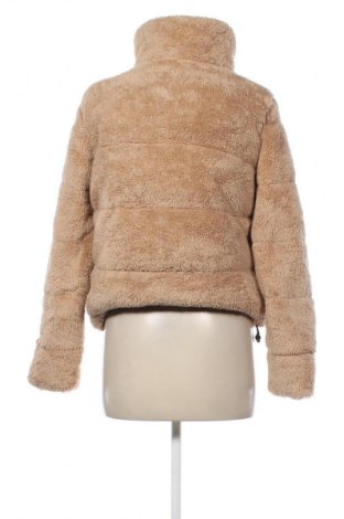 Damenjacke Hollister, Größe S, Farbe Beige, Preis € 61,99