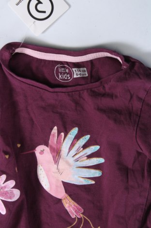 Kinder Shirt, Größe 4-5y/ 110-116 cm, Farbe Lila, Preis € 2,99