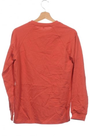 Kinder Shirt Anko, Größe 15-18y/ 170-176 cm, Farbe Orange, Preis € 7,99