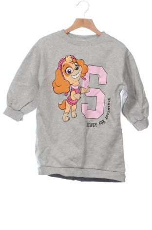 Kinder Shirt Zara, Größe 3-4y/ 104-110 cm, Farbe Grau, Preis 9,99 €