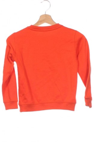 Kinder Shirt Zeeman, Größe 6-7y/ 122-128 cm, Farbe Orange, Preis € 3,99