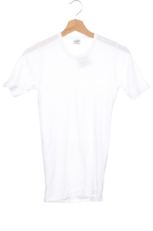 Tricou pentru copii Alive, Mărime 12-13y/ 158-164 cm, Culoare Alb, Preț 61,99 Lei