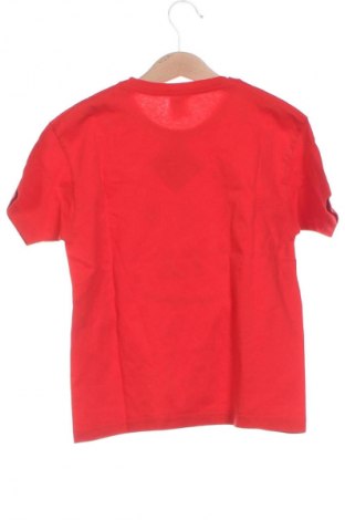 Kinder T-Shirt Fruit Of The Loom, Größe 4-5y/ 110-116 cm, Farbe Rot, Preis € 6,00