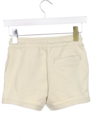 Kinder Shorts Calvin Klein Jeans, Größe 8-9y/ 134-140 cm, Farbe Grün, Preis 68,99 €