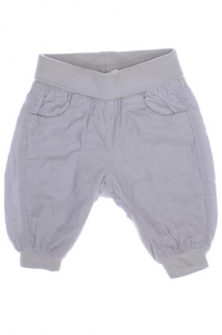 Kinderhose H&M, Größe 2-3m/ 56-62 cm, Farbe Grau, Preis € 4,99