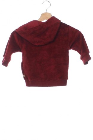 Kinder Sweatshirts Okay, Größe 12-18m/ 80-86 cm, Farbe Rot, Preis 5,99 €