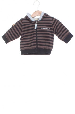 Kinder Sweatshirts Timberland, Größe 2-3m/ 56-62 cm, Farbe Mehrfarbig, Preis € 11,99