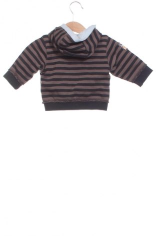 Kinder Sweatshirts Timberland, Größe 2-3m/ 56-62 cm, Farbe Mehrfarbig, Preis € 11,99