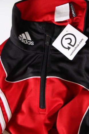 Ανδρική μπλούζα Adidas, Μέγεθος XL, Χρώμα Κόκκινο, Τιμή 26,99 €