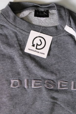 Ανδρική μπλούζα Diesel, Μέγεθος M, Χρώμα Γκρί, Τιμή 69,99 €