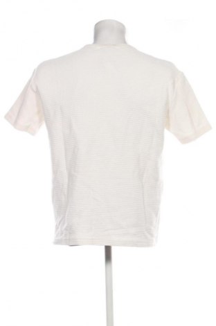 Tricou de bărbați Calvin Klein Jeans, Mărime M, Culoare Ecru, Preț 267,99 Lei