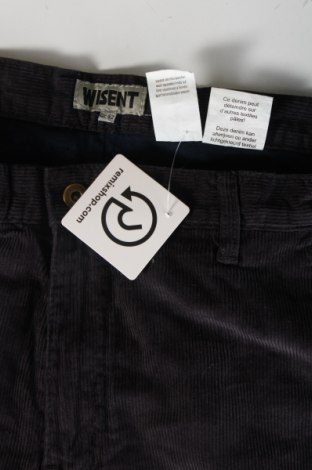 Pantaloni raiați de bărbați, Mărime L, Culoare Albastru, Preț 64,99 Lei