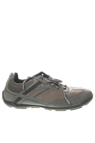 Herrenschuhe Geox, Größe 42, Farbe Grau, Preis 61,99 €