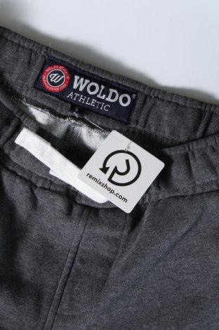 Pantaloni trening de bărbați WOLDO ATHLETIC, Mărime M, Culoare Gri, Preț 88,99 Lei