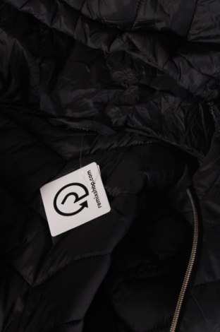 Herrenjacke Zizzi, Größe S, Farbe Schwarz, Preis € 18,99