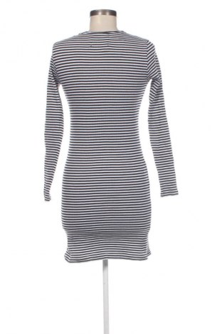 Kleid Calvin Klein, Größe S, Farbe Mehrfarbig, Preis € 43,99