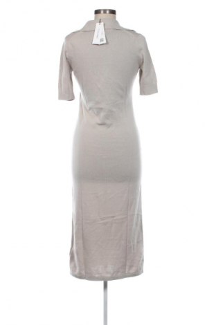 Kleid Calvin Klein, Größe S, Farbe Beige, Preis € 102,99