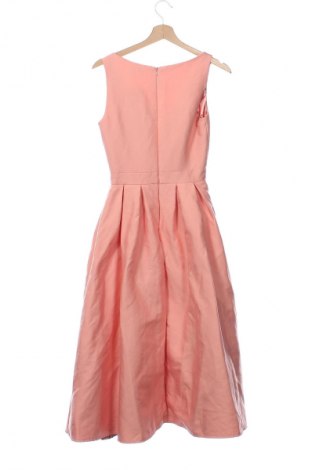 Kleid Chi Chi, Größe XS, Farbe Rosa, Preis 59,99 €