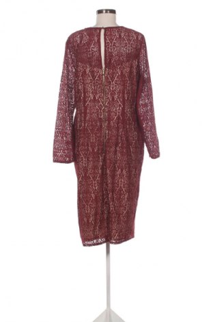 Kleid Dorothy Perkins, Größe XL, Farbe Mehrfarbig, Preis 11,99 €