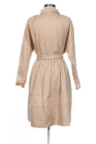 Kleid Mango, Größe XL, Farbe Beige, Preis € 33,99