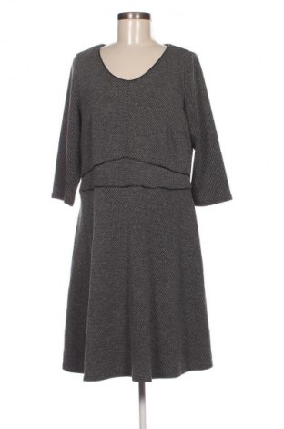 Kleid Miss Etam, Größe L, Farbe Grau, Preis 8,99 €