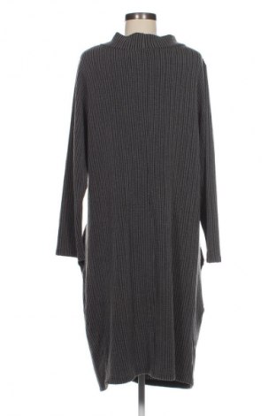 Kleid Ophilia, Größe XXL, Farbe Grau, Preis 29,99 €