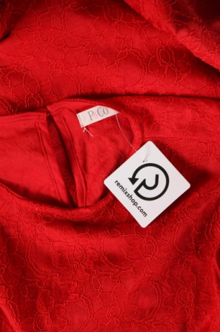 Kleid P&Co, Größe S, Farbe Rot, Preis € 31,71