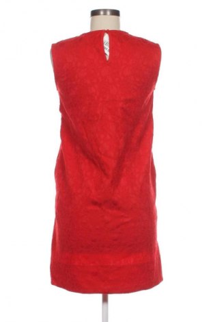 Kleid P&Co, Größe S, Farbe Rot, Preis € 31,71