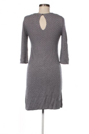 Kleid Zara Knitwear, Größe M, Farbe Mehrfarbig, Preis € 33,99