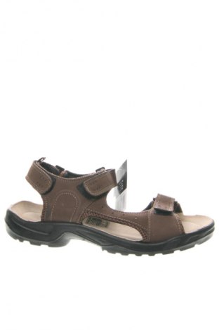 Sandalen Crivit, Größe 42, Farbe Braun, Preis 43,40 €