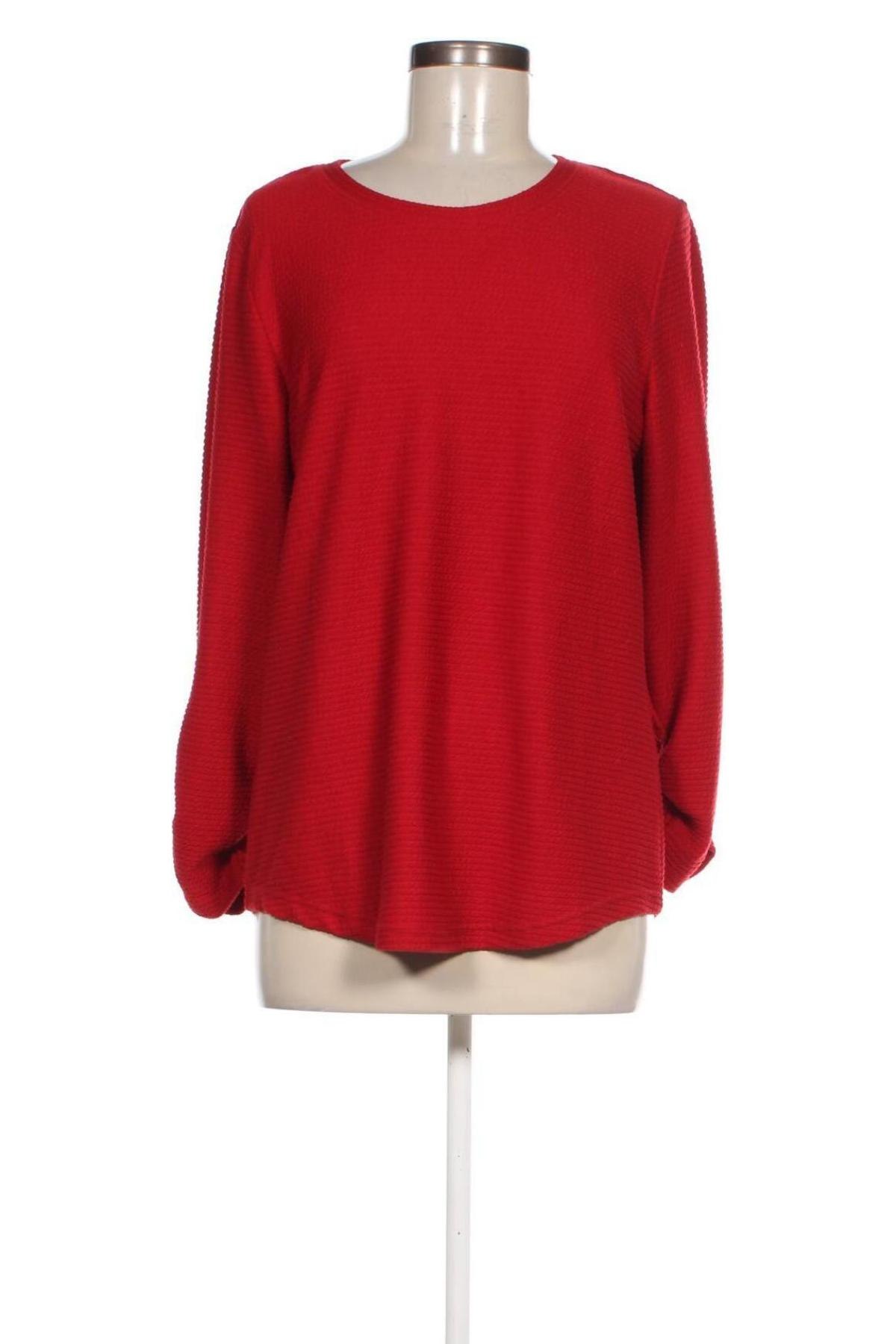 Damen Shirt 17 & Co., Größe XL, Farbe Rot, Preis € 7,99