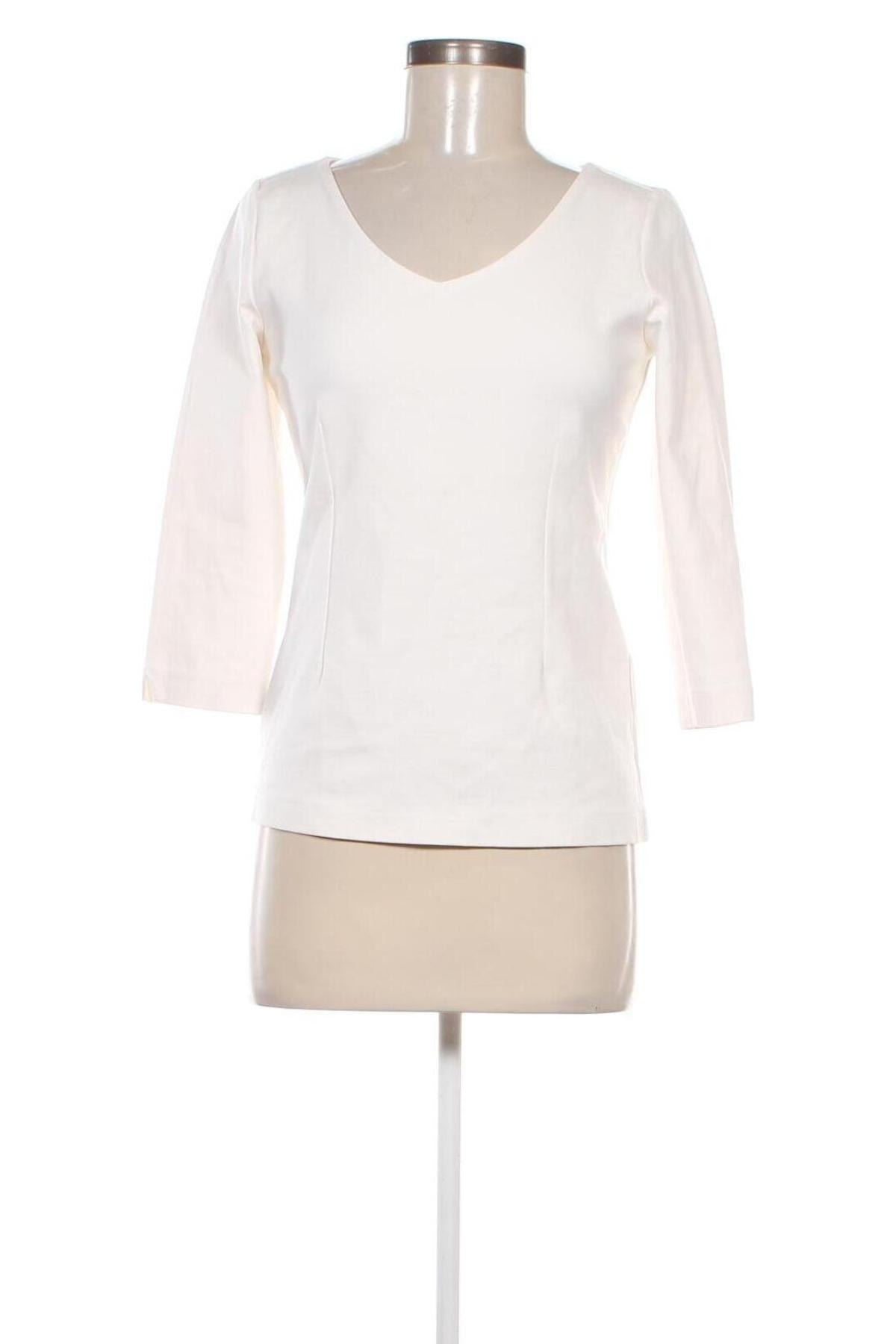 Damen Shirt Ann Taylor, Größe S, Farbe Weiß, Preis 15,99 €