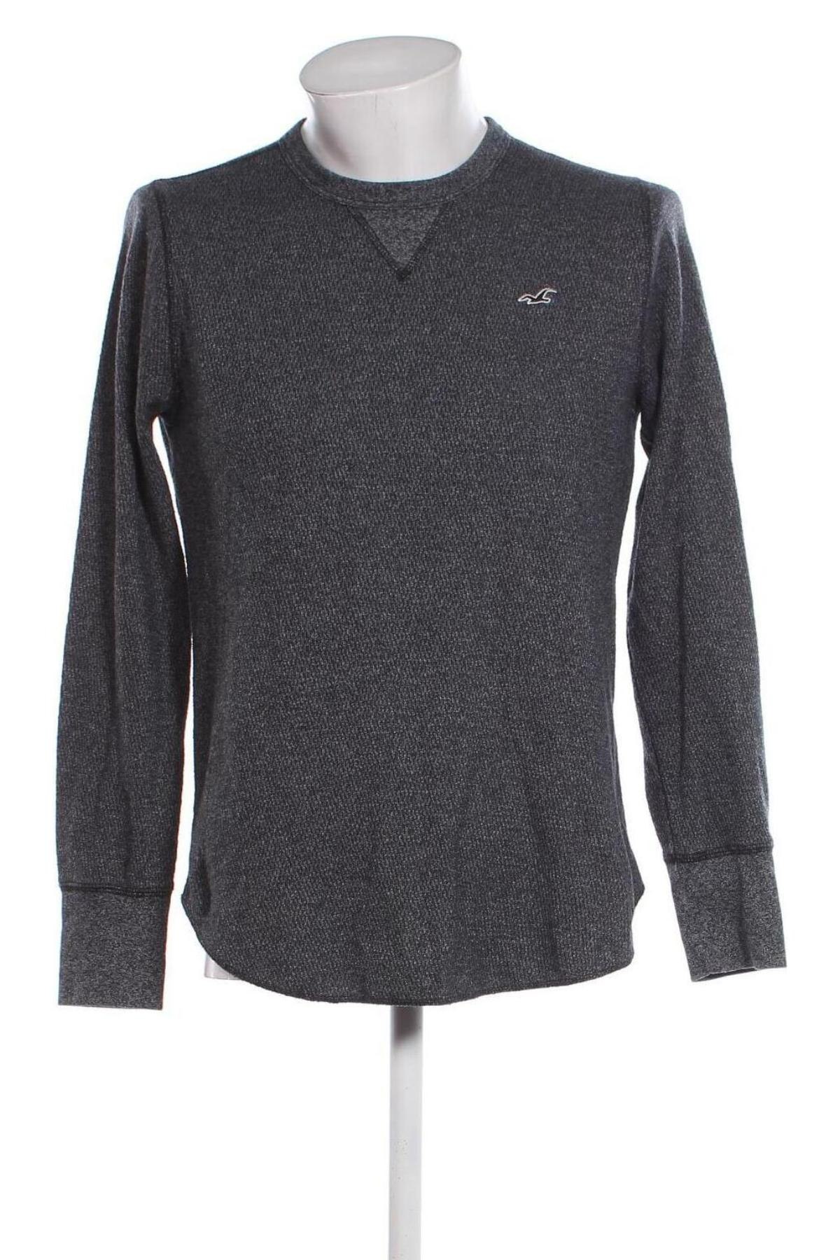 Herren Shirt Hollister, Größe M, Farbe Grau, Preis € 10,99