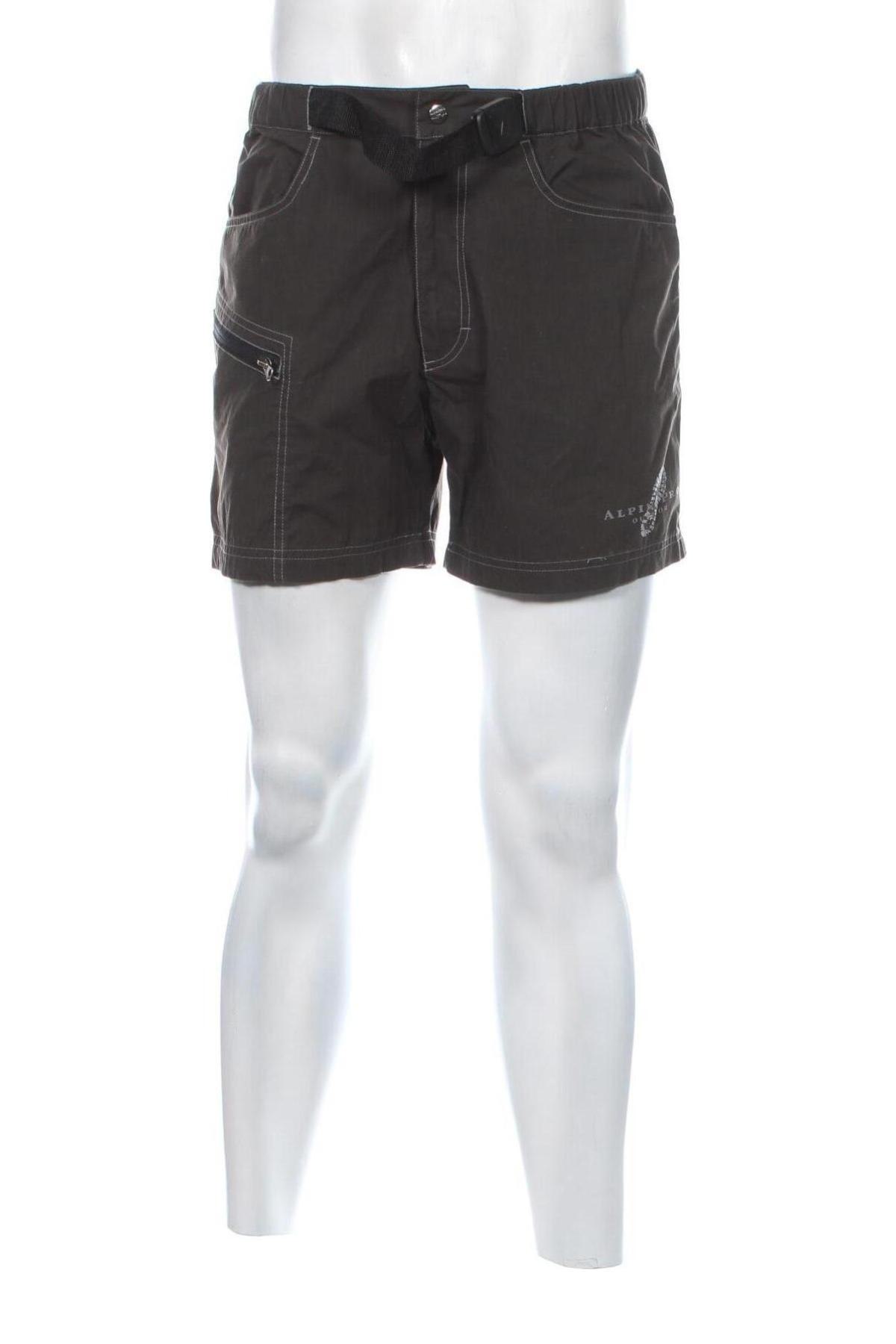 Herren Shorts Alpine Pro, Größe L, Farbe Braun, Preis € 17,38