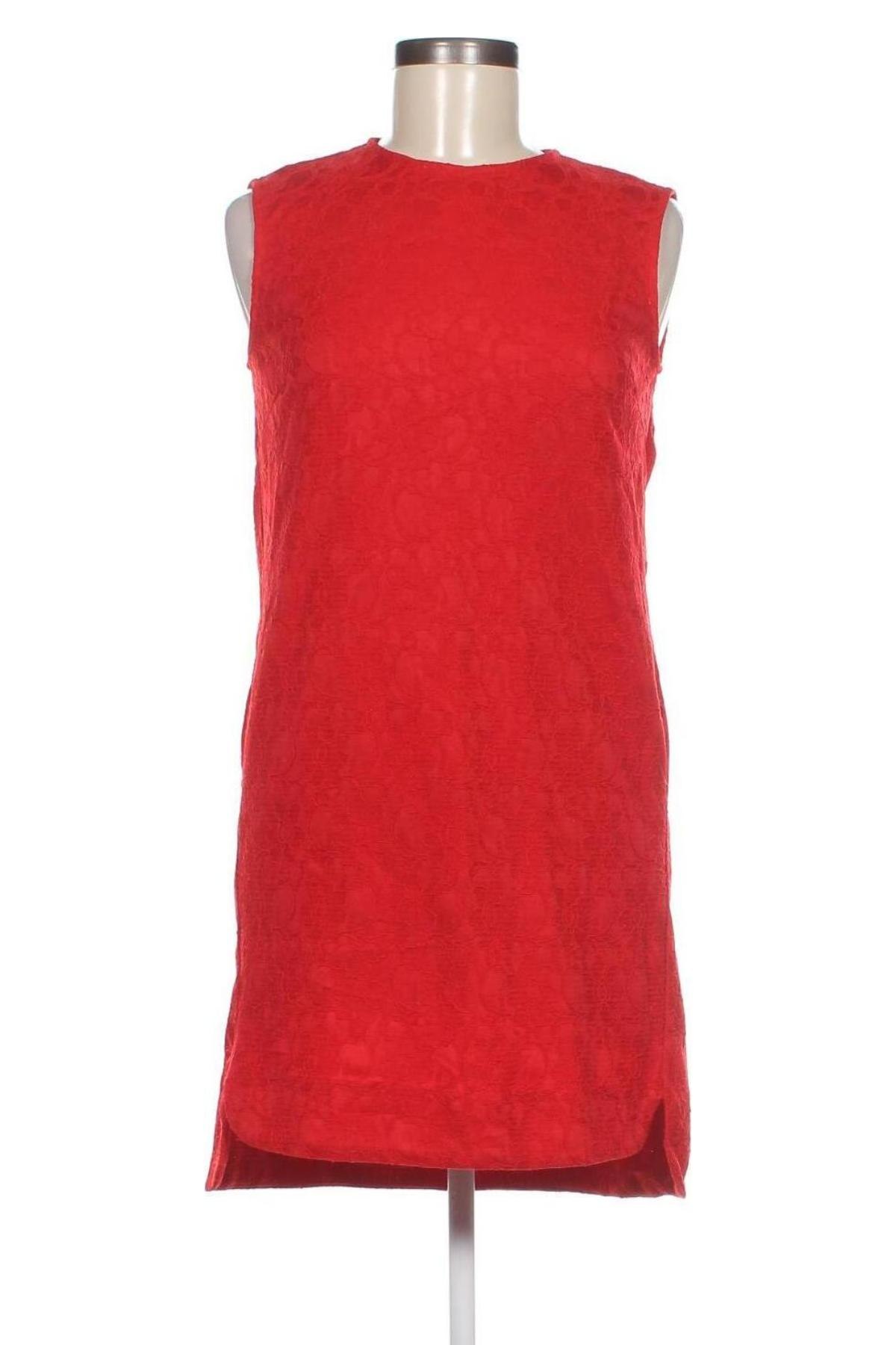 Kleid P&Co, Größe S, Farbe Rot, Preis € 31,71