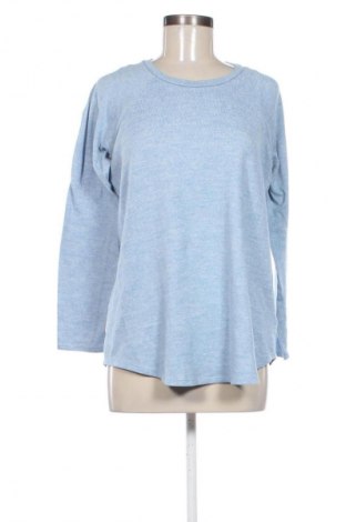 Damen Shirt American Eagle, Größe M, Farbe Mehrfarbig, Preis € 17,36