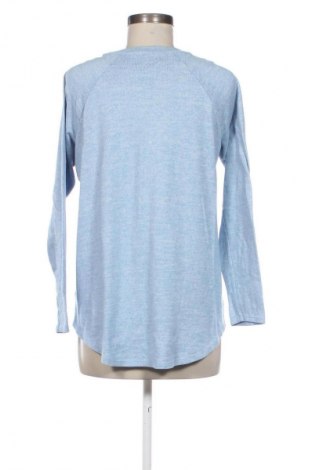 Damen Shirt American Eagle, Größe M, Farbe Mehrfarbig, Preis € 17,36