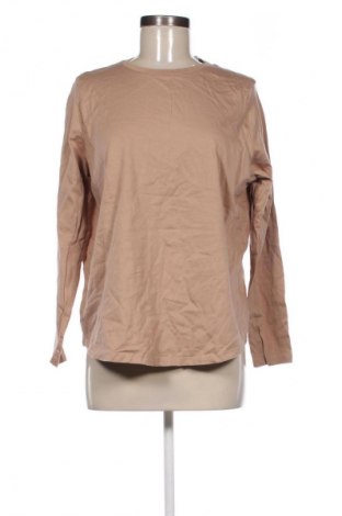 Damen Shirt Anko, Größe M, Farbe Braun, Preis € 3,99