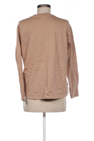 Damen Shirt Anko, Größe M, Farbe Braun, Preis € 3,99