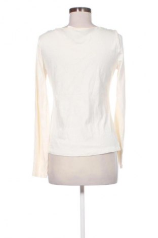 Damen Shirt Ann Taylor, Größe M, Farbe Ecru, Preis € 25,00